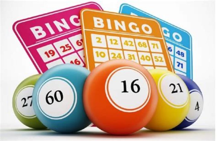 bingo Archives - 247 News Around The World