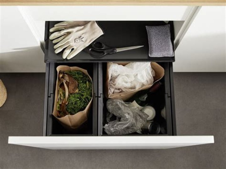 bins Archives - 247 News Around The World