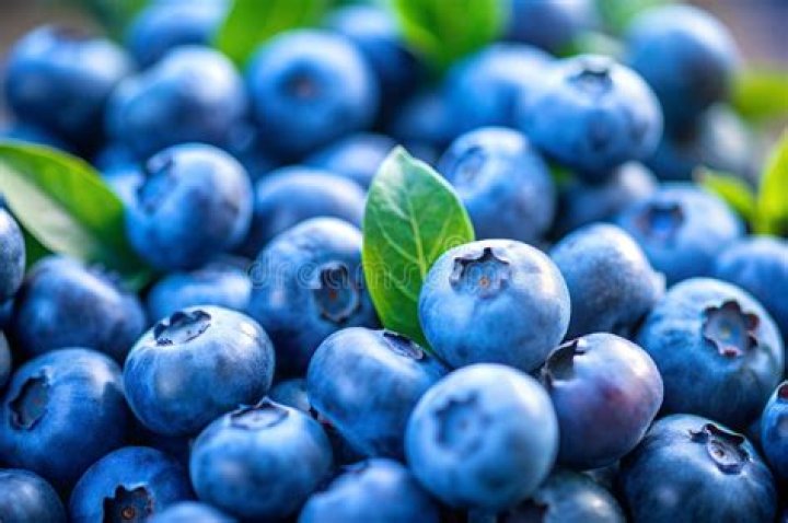 Blueberries Archives - 247 News Around The World