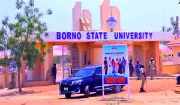 Borno State Archives - 247 News Around The World