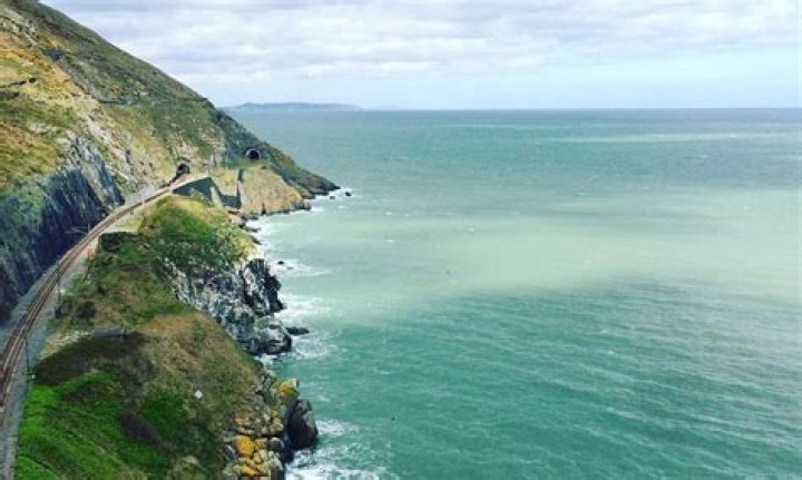 Bray Archives - 247 News Around The World