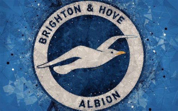 Brighton and Hove Albion Archives