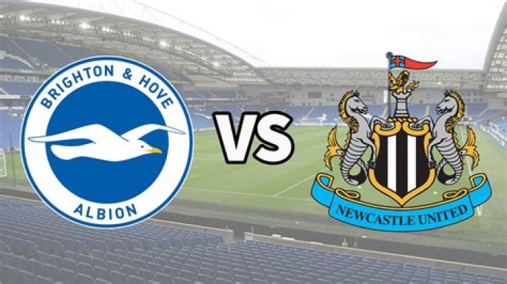 Brighton&Hove Albion vs Newcastle United Archives