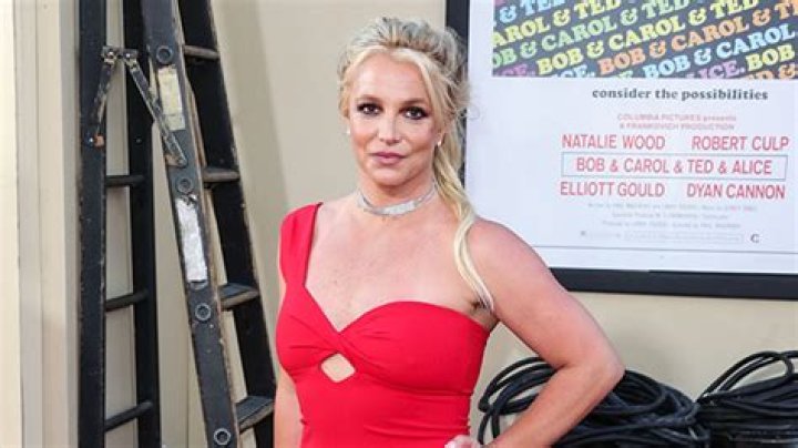 Britney Spears Appears Distraught While Rushing Dog to Vet in Middle of the Night on Birthday