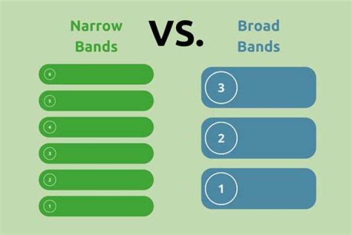 Broad Archives - 247 News Around The World