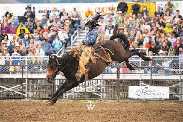 Broncs Archives - 247 News Around The World