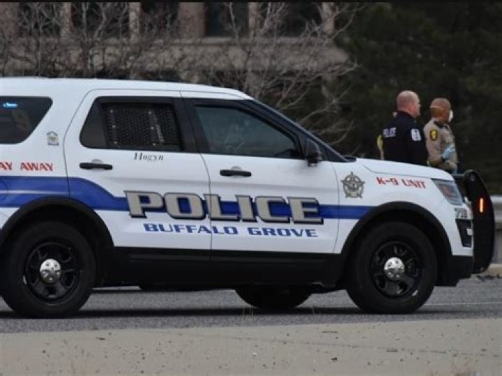 buffalo grove police blotter Archives