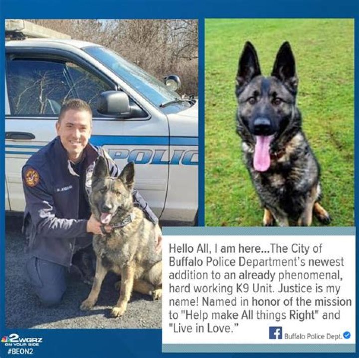 buffalo police force Archives - 247 News Around The World