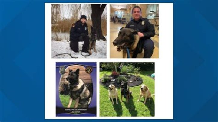buffalo police k9 unit Archives