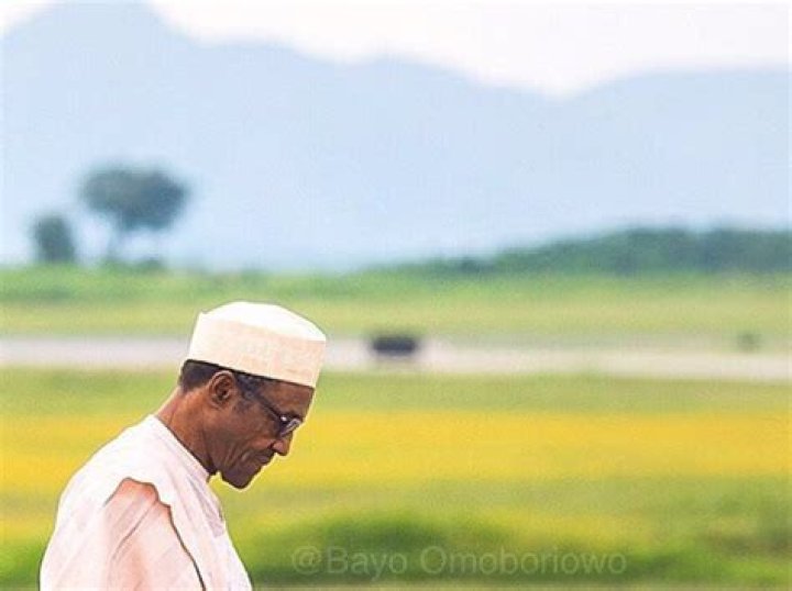 #BuhariGate Archives - 247 News Around The World