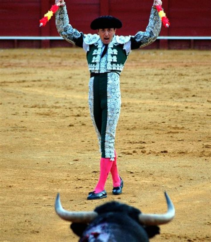 bullfighters Archives - 247 News Around The World
