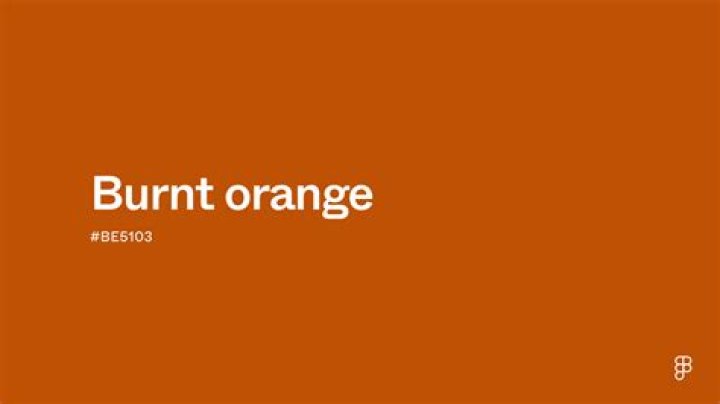 "Burnt Orange For Covid Tiktok": What Does It Mean? Popular Trend On Social Media Explained