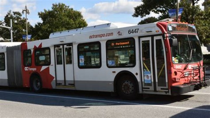 Bus thief Archives - 247 News Around The World