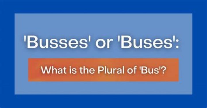 busses Archives - 247 News Around The World