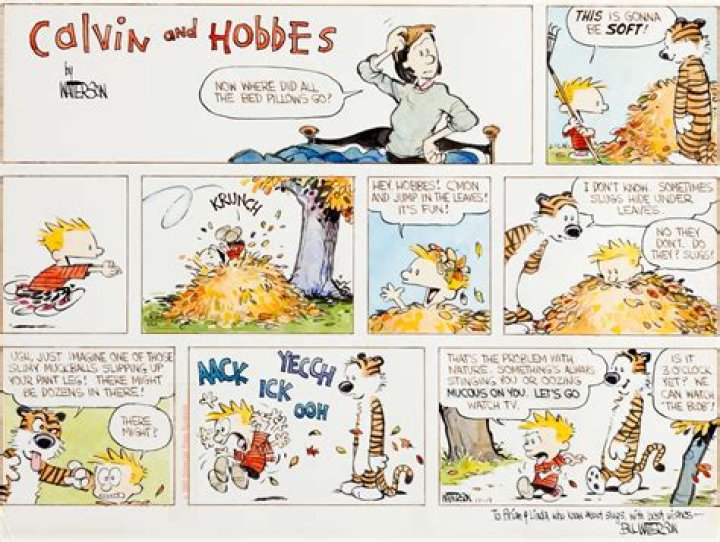 Calvin Archives - 247 News Around The World