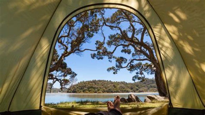 Camping Archives - 247 News Around The World