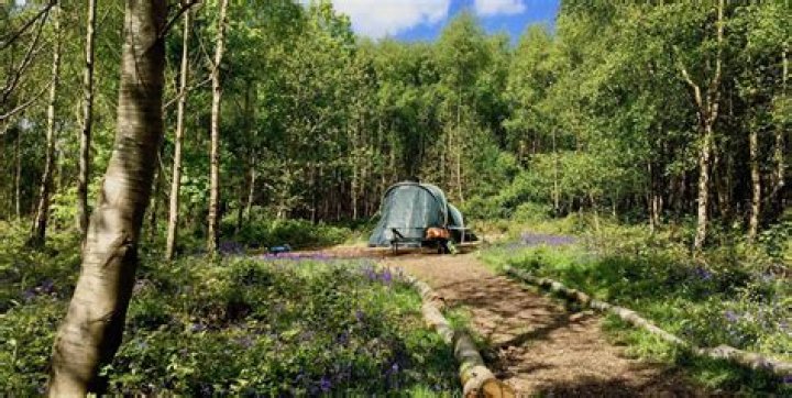 campsites Archives - 247 News Around The World