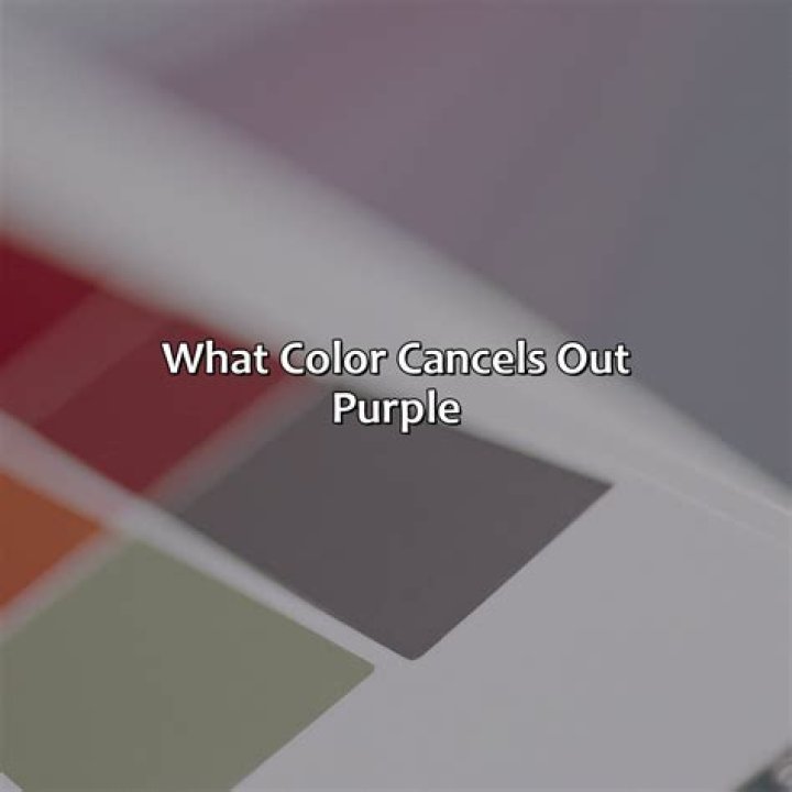 cancels Archives - 247 News Around The World