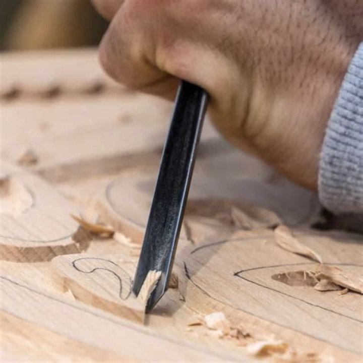 carve Archives - 247 News Around The World