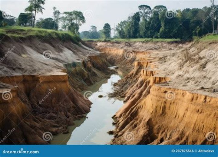 causing Archives - 247 News Around The World