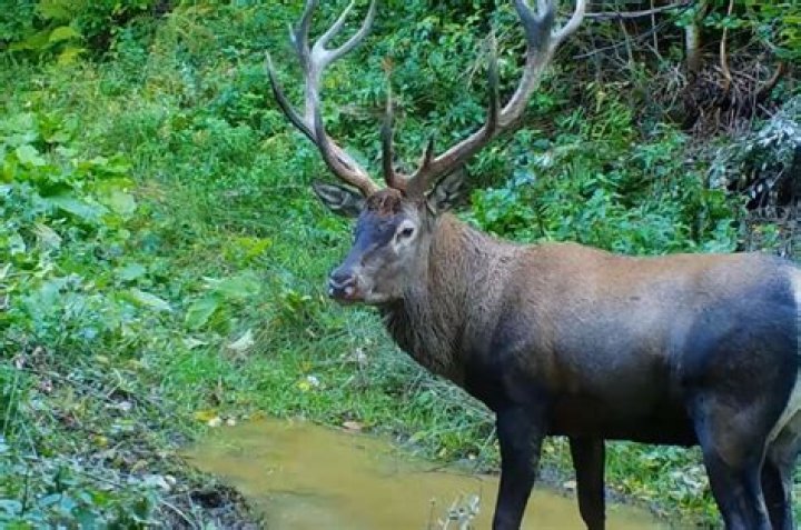 cerb Archives - 247 News Around The World