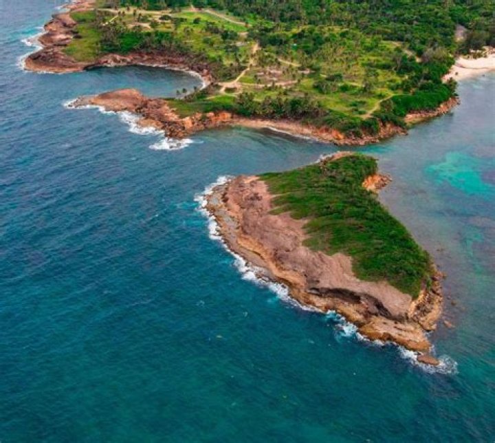 cerro gordo Archives - 247 News Around The World