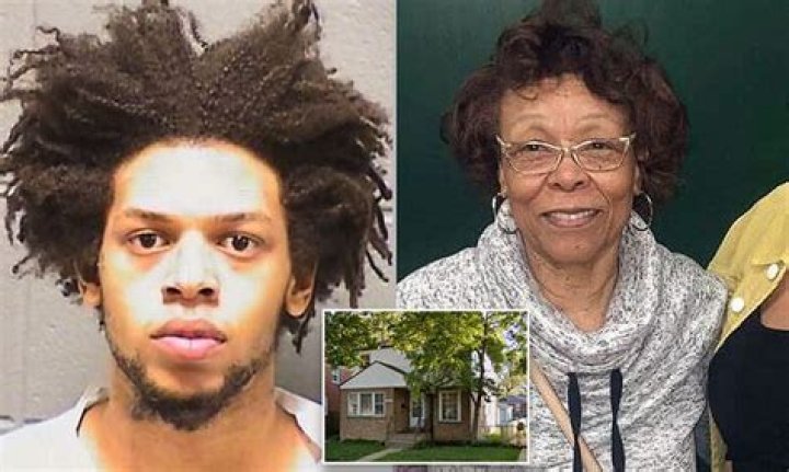 Chicago man, 20, charged with murder after 'stabbing great grandmother 35 times with samurai knife'