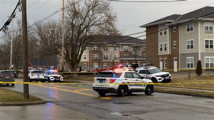 Chicago police officer suicide: Durand Lee died from gunshot wound, Cook County Medical Examiner's Office says