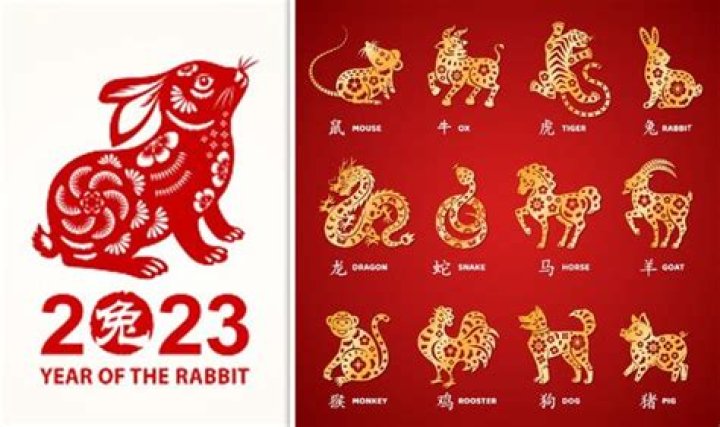 Chinese horoscope 2023: What the Year of the Rabbit has in store for all 12 animal signs