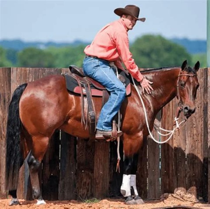 Clinton Anderson Net Worth (Updated 2023) Earnings, Salary, History