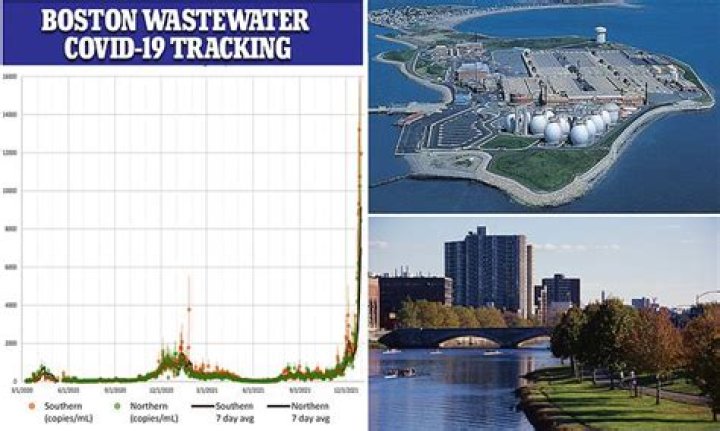 COVID levels in Boston's waste water TRIPLE in a week and rise six-fold in a fortnight