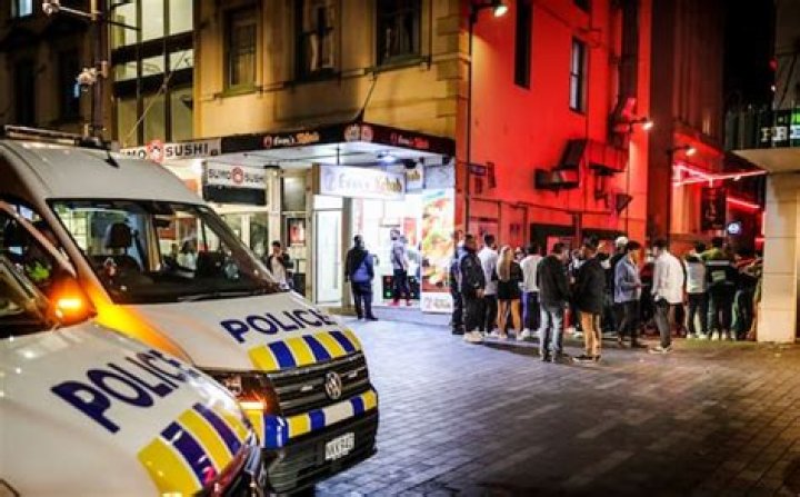 'Crime crisis': Escalating crime in Auckland will dash hope of pandemic recovery, inner city business owners say