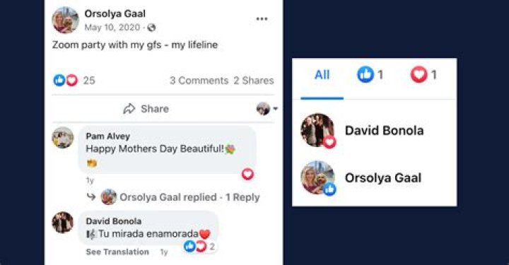 David Bonola Murdered Ex-Lover Orsolya Gaal: Police