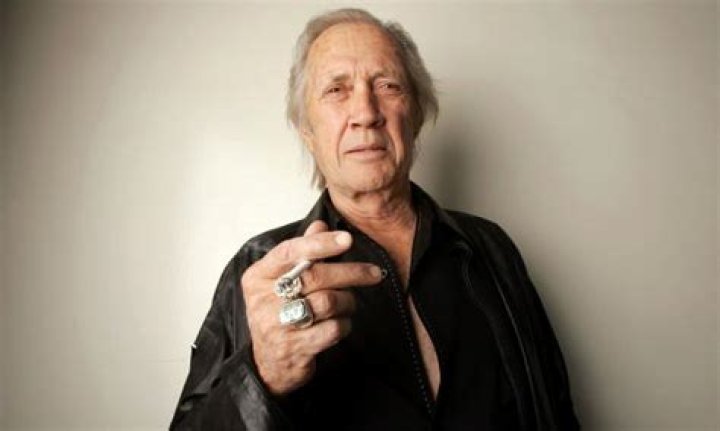 David Carradine Net Worth - 247 News Around The World