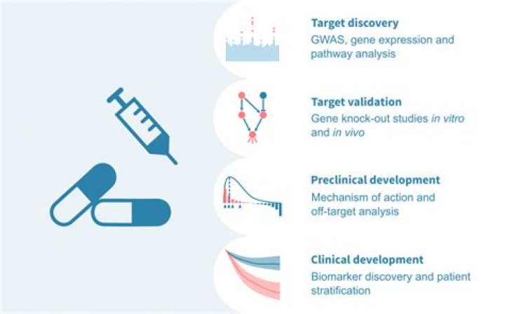 Different Types of Drug Testing and What They Are Used For – Credihealth Blog