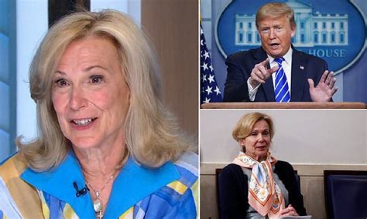 Dr. Deborah Birx explains Trump's infamous 'bleach comments