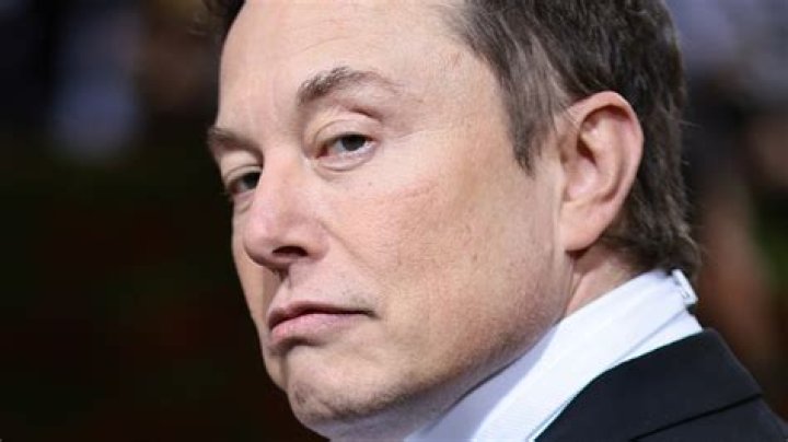 Elon Musk Tears Hunter Biden To Shreds On Twitter With A Single Meme