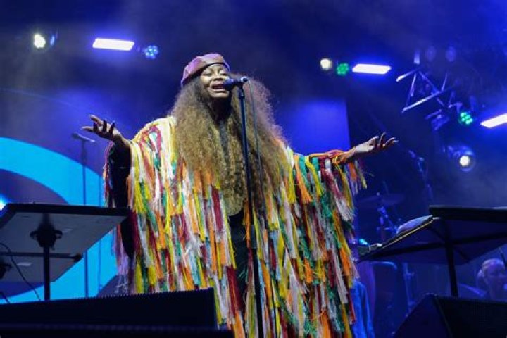 Fans Fight At Erykah Badu Concert, Window Seat Beatdown Goes Viral