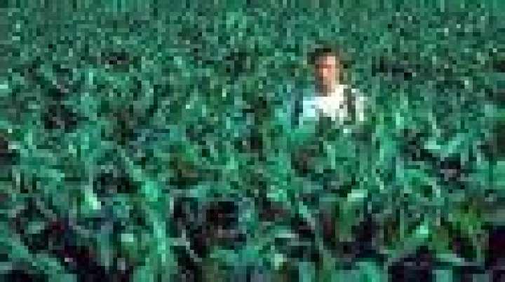 'Field of Dreams' TV Series Not Moving Forward at Peacock