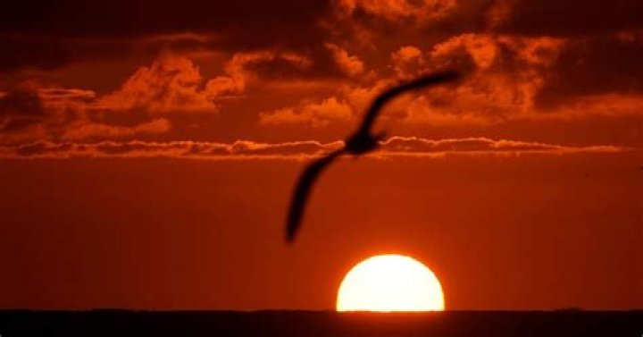 Florida man filming sunrise killed when sand dune collapses