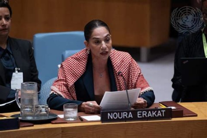 Fouseytube Sister: Who Is Noura Erakat? Parents And Family Ethnicity