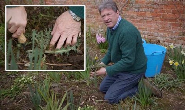 Gardening: Alan Titchmarsh shares how to avoid weeds ‘reappearing’ in spring