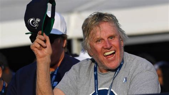 Gary Busey Charged With Sex Crimes at New Jersey Monster-Mania Con