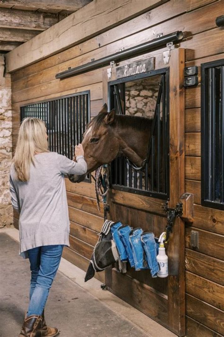 Gateway HorseWorks has horses that actually help people heal from trauma