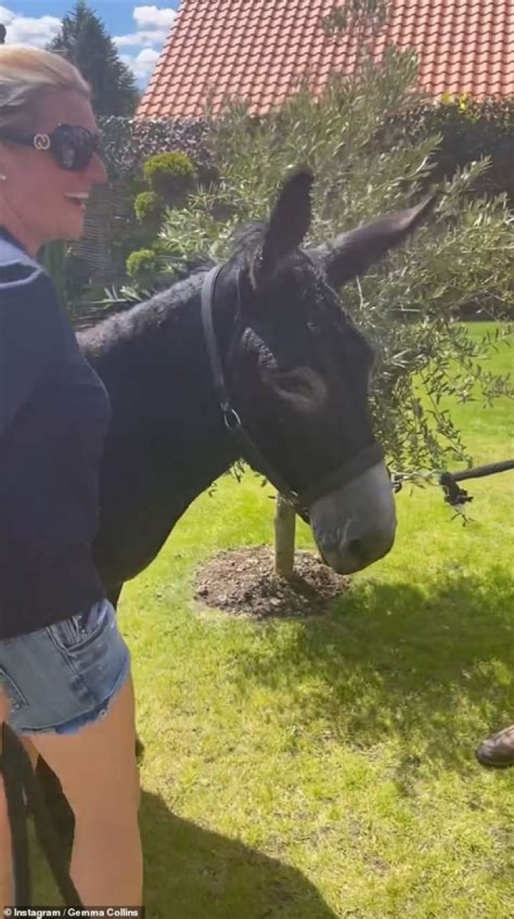 Gemma Collins shows off her 3.5st weight loss in Versace bikini as she poses with new rescue donkey