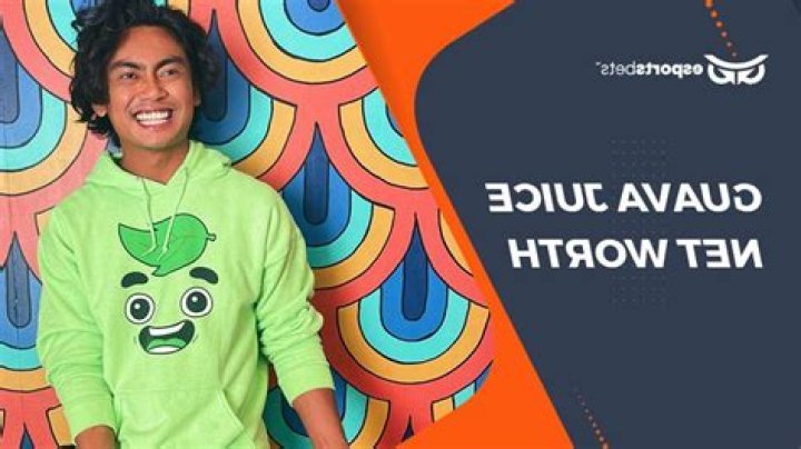 Guava Juice Net Worth: How Rich Is The Youtuber Actually In 2022?