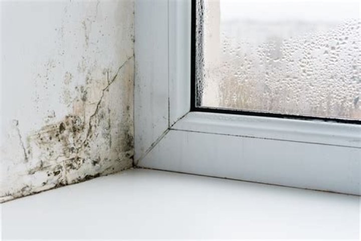 How to stop condensation damaging windows and causing mould