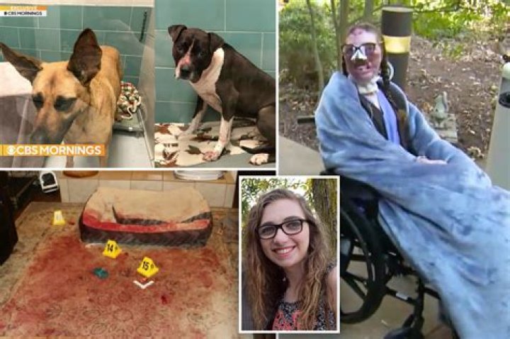 In 2022, where will Jacqueline Durand be? Dr. Justin Bishop, a victim of a dog attack today