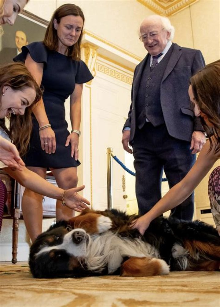 Irish President Michael D Higgins' dog steals limelight as it begs for attention during interview