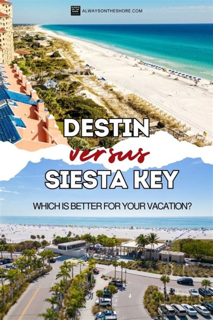 Is Siesta Key Cancelled? and More!